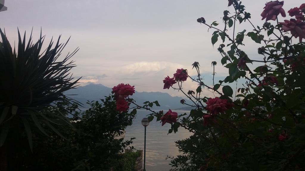Apatments Stanojlovic Djenovic Apartment Herceg Novi Exterior foto